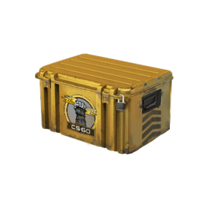 Glove Case
