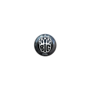 Sticker | BIG (Foil) | Katowice 2019
