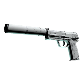 USP-S | Whiteout (Field-Tested)