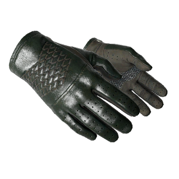 ★ Driver Gloves | Racing Green (Minimal Wear)