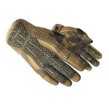 ★ Sport Gloves | Arid (Field-Tested)